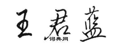 駱恆光王君藍行書個性簽名怎么寫