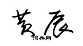 朱錫榮黃辰草書個性簽名怎么寫