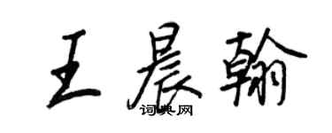 王正良王晨翰行書個性簽名怎么寫