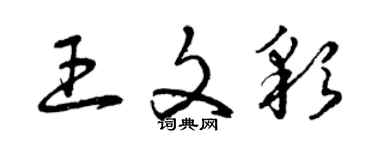 曾慶福王文彩草書個性簽名怎么寫