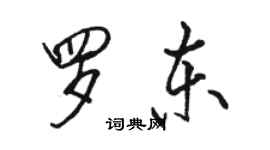 駱恆光羅東行書個性簽名怎么寫