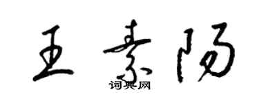 梁錦英王素陽草書個性簽名怎么寫