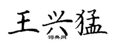 丁謙王興猛楷書個性簽名怎么寫