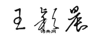 駱恆光王穎晨草書個性簽名怎么寫