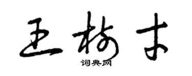 曾慶福王樹才草書個性簽名怎么寫