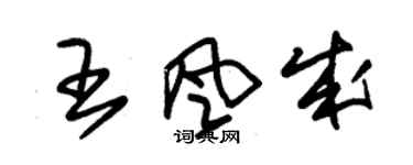 朱錫榮王風成草書個性簽名怎么寫