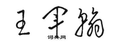 駱恆光王軍翰草書個性簽名怎么寫