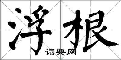 翁闓運浮根楷書怎么寫