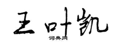 曾慶福王葉凱行書個性簽名怎么寫