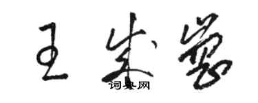 駱恆光王成崗草書個性簽名怎么寫