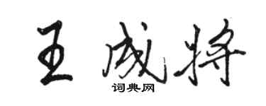 駱恆光王成將行書個性簽名怎么寫