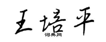 王正良王培平行書個性簽名怎么寫