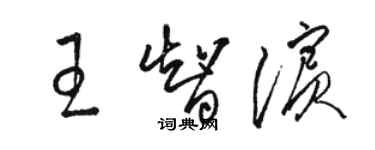 駱恆光王智濱草書個性簽名怎么寫