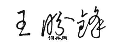 駱恆光王盼鋒草書個性簽名怎么寫