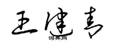 曾慶福王健青草書個性簽名怎么寫