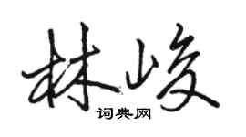 駱恆光林峻行書個性簽名怎么寫