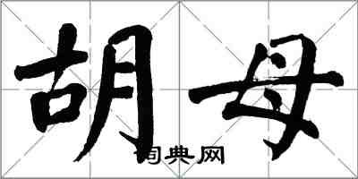 翁闓運胡母楷書怎么寫