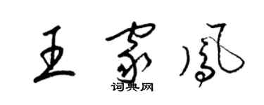 梁錦英王家鳳草書個性簽名怎么寫