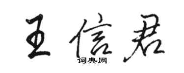 駱恆光王信君行書個性簽名怎么寫