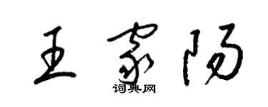 梁錦英王家陽草書個性簽名怎么寫