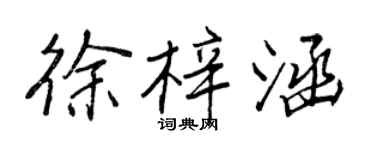 王正良徐梓涵行書個性簽名怎么寫
