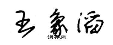 朱錫榮王象滔草書個性簽名怎么寫