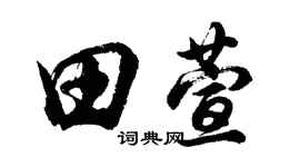 胡問遂田萱行書個性簽名怎么寫