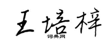 王正良王培梓行書個性簽名怎么寫