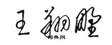 駱恆光王翔野草書個性簽名怎么寫