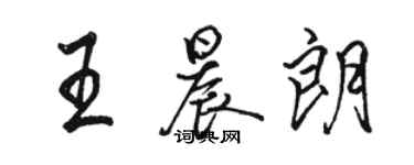 駱恆光王晨朗行書個性簽名怎么寫