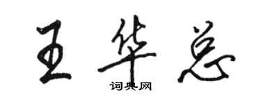 駱恆光王華總行書個性簽名怎么寫