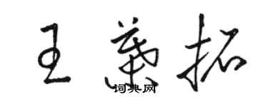 駱恆光王葉拓草書個性簽名怎么寫