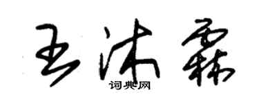 朱錫榮王沐霖草書個性簽名怎么寫