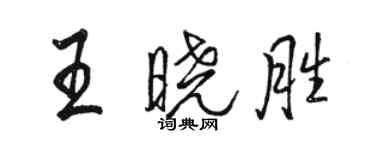 駱恆光王曉勝行書個性簽名怎么寫