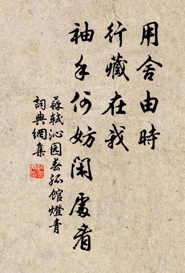 蘇軾用舍由時,行藏在我,袖手何妨閒處看。書法作品欣賞