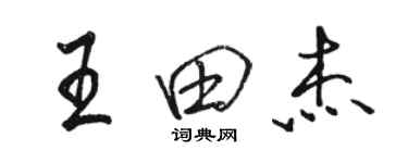 駱恆光王田傑行書個性簽名怎么寫