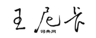 駱恆光王尼卡草書個性簽名怎么寫