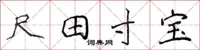 侯登峰尺田寸寶楷書怎么寫