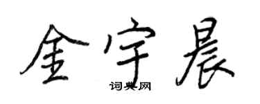 王正良金宇晨行書個性簽名怎么寫