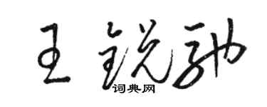 駱恆光王銳馳草書個性簽名怎么寫