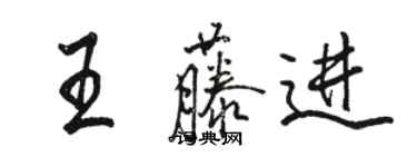 駱恆光王藤進行書個性簽名怎么寫