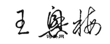 駱恆光王興梅草書個性簽名怎么寫