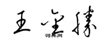 梁錦英王金勝草書個性簽名怎么寫