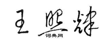 駱恆光王照輝草書個性簽名怎么寫