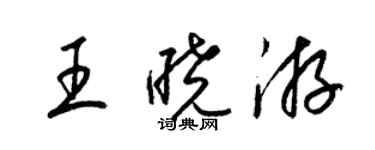 梁錦英王曉游草書個性簽名怎么寫