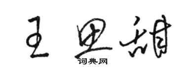 駱恆光王思甜草書個性簽名怎么寫