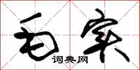 朱錫榮毛實草書怎么寫