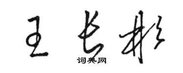 駱恆光王長彬草書個性簽名怎么寫
