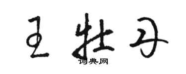 駱恆光王牡丹草書個性簽名怎么寫