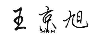 駱恆光王京旭行書個性簽名怎么寫